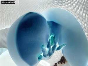 28 year old Escort in Miami FL Adairace on Snapchat