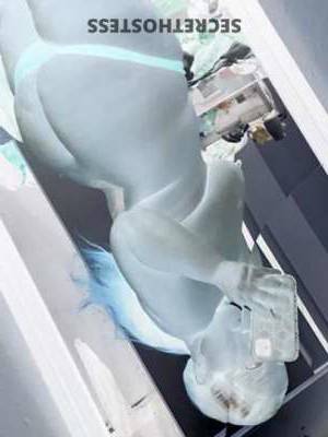 28 year old Escort in San Antonio TX Experience bliss
