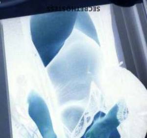 29Yrs Old Escort Denver CO Image - 2