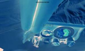 29 year old European Escort in Warsaw Pepper Independent cutie