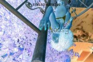 29 year old Latino Escort in Luxembourg City Liz Independent Cutie