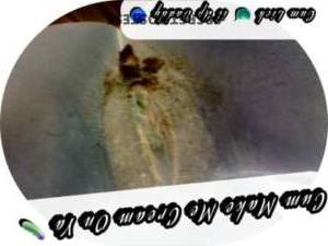 32Yrs Old Escort Columbus OH Image - 1