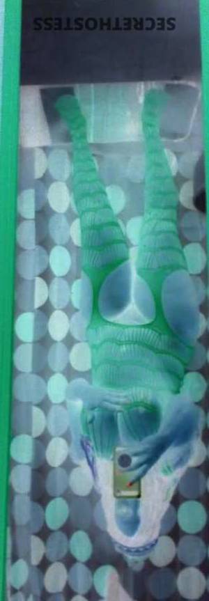 I Am Available And Ready for Sum 33 year old Escort in Springfield MO