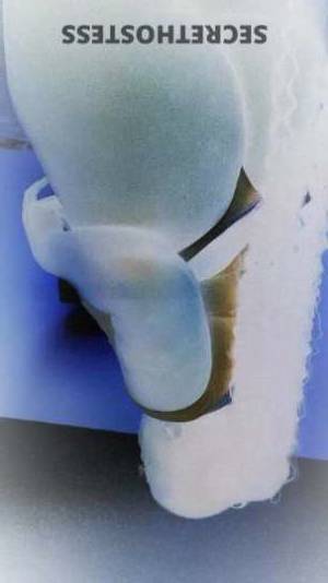 Amber 26Yrs Old Escort Daytona FL Image - 1