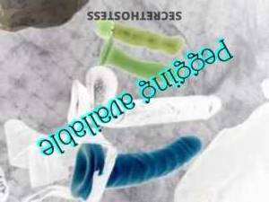 Princess 36Yrs Old Escort Norfolk VA Image - 8