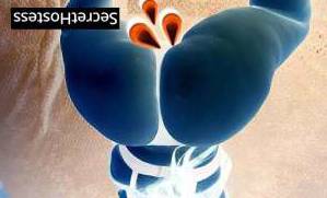 20Yrs Old Escort 82KG 151CM Tall Cleveland OH Image - 2