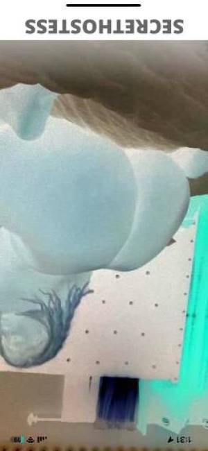 21 year old Escort in Memphis TN Soaking Wet