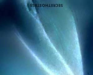 26 year old Escort in Bakersfield CA Lactating fetish now