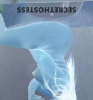 26Yrs Old Escort Toledo OH Image - 1