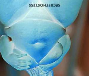 31Yrs Old Escort Tyler TX Image - 1