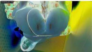 Lizbeth 24Yrs Old Escort 63KG 171CM Tall Denver CO Image - 2
