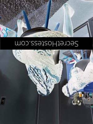 33 year old Chinese Escort in Gordon Park Brisbane Lisa Mel