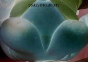 37Yrs Old Escort Washington DC Image - 4