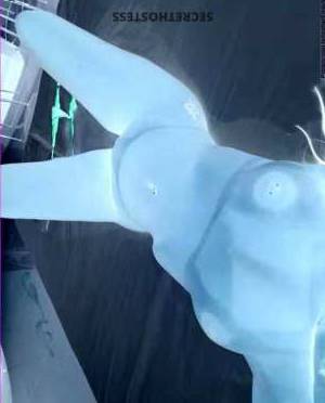 Andrea 24Yrs Old Escort Houston TX Image - 2