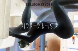 Cindy 21Yrs Old Escort Westchester FL Image - 2