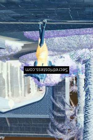 Evita 24Yrs Old Escort 48KG 165CM Tall Dubai Image - 6