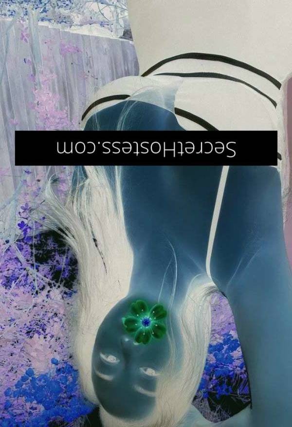 25Yrs Old Escort Size 8 Brisbane Image - 3