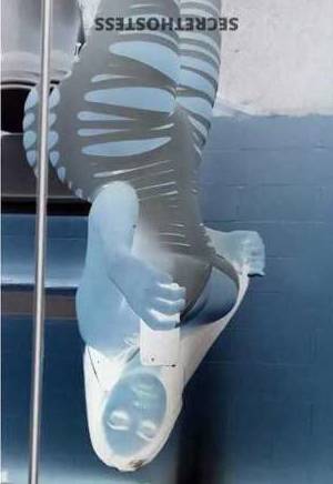 22Yrs Old Escort Houston TX Image - 2