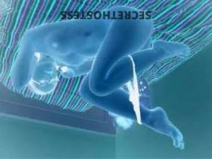 23Yrs Old Escort Brisbane Image - 1