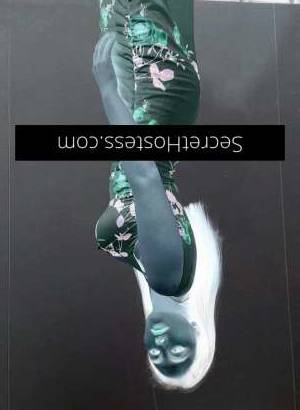 25 year old Escort in Liverpool Sydney Arabella Busty Lover for Discerning Gentlemen