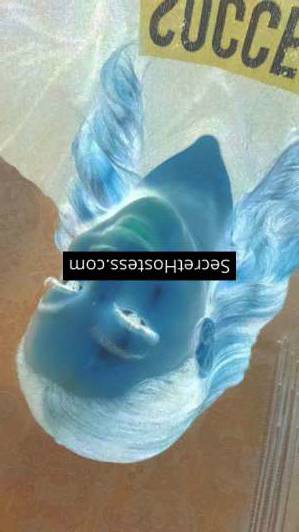 Tracy 25Yrs Old Escort 65KG 163CM Tall Ho Chi Minh Saigon Image - 2