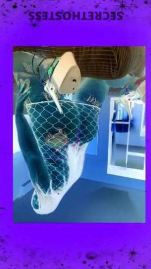 35 year old American Escort in Raleigh-Durham NC Discounted for regulars genuine HH and HR rates, call now