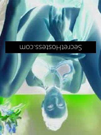 24Yrs Old Escort Size 8 42KG 162CM Tall Brisbane Image - 0