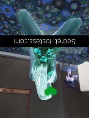 20Yrs Old Escort Size 8 165CM Tall Brisbane Image - 17
