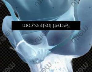 21Yrs Old Escort Adelaide Image - 5