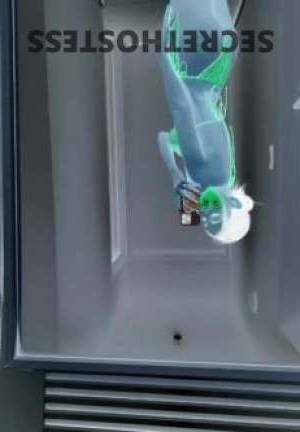 26 year old Escort in Browns Plains Brisbane Young Real Girl Excellent Service