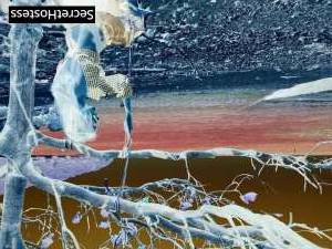 26 year old Escort in Istanbul canyons adapts Laos Girl