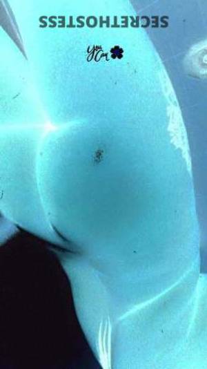 Rose 23Yrs Old Escort Fresno CA Image - 5