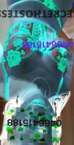 Asian Escort Sunshine Coast in Sunshine Coast
