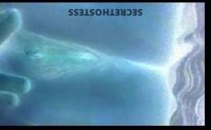 ???? 26Yrs Old Escort Brockton MA Image - 2