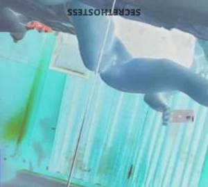 ???? 26Yrs Old Escort Brockton MA Image - 5