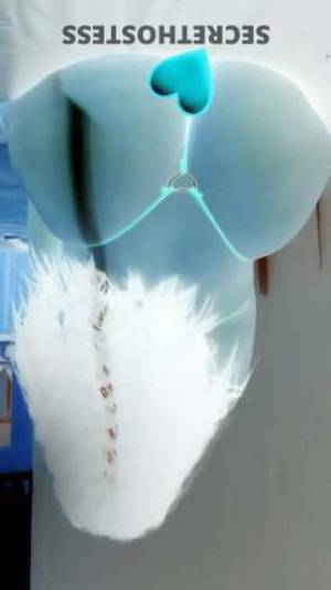 25 year old American Escort in Fresno CA Fresh Faces - Your Ultimate Companion