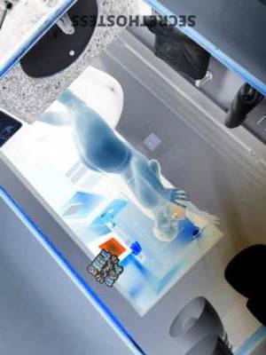 21 year old Escort in Tucson AZ Chanel visit