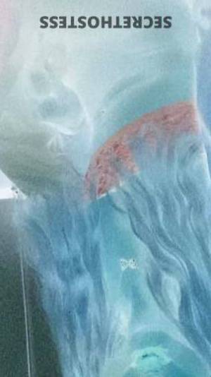 18 year old Escort in Portland OR Horny trans ready