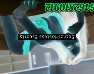 22Yrs Old Escort 162CM Tall Schaumburg IL Image - 2