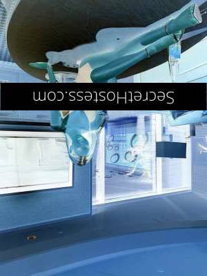 21 year old Vietnamese Escort in Zillmere Brisbane Martina Sensual Vietnamese Hottie for Pleasure