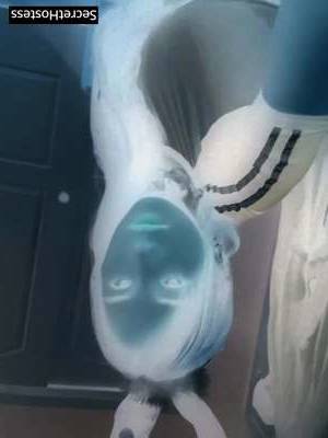 22 year old Escort in Brooklyn NY Thrilling Encounters
