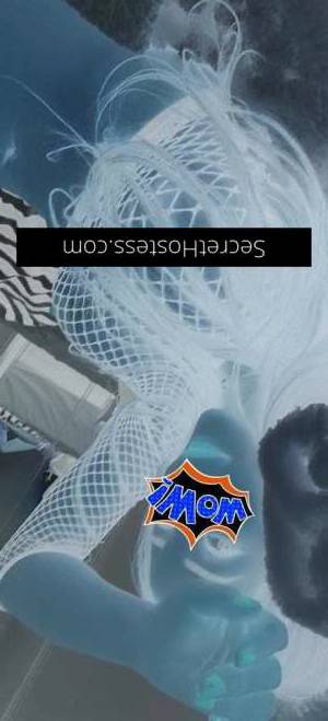 24Yrs Old Escort Port Macquarie Image - 1