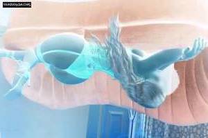 28 year old Escort in Nashville TN Hot Babe