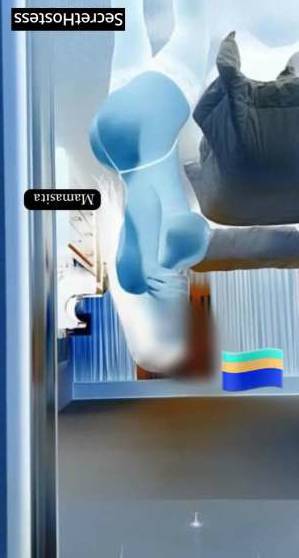 31Yrs Old Escort 67KG 164CM Tall San Jose CA Image - 1