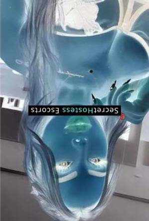 Anna 26Yrs Old Escort 49KG 170CM Tall Durres Image - 8