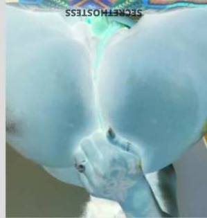 BabyGirl 26Yrs Old Escort South Bend IN Image - 5