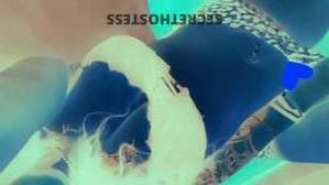 Jamie 26Yrs Old Escort Ogden UT Image - 2