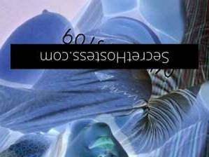 21Yrs Old Escort Cairns Image - 1