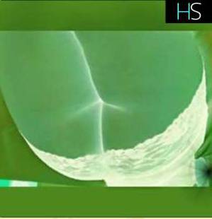 24 year old Escort in Winnipeg Discreet and Economical Outcall and Carcall Escort Services