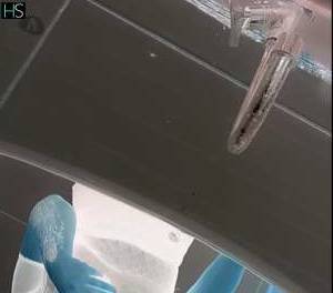 25 year old White Escort in Tijucas Santa Catarina minha Seeking Affection